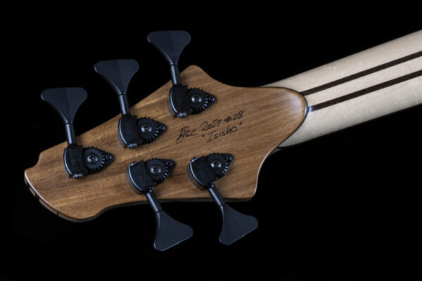 Headstock Rear